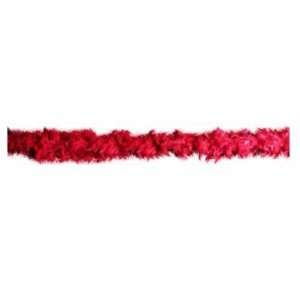   : Beistle   60300 R   Fancy Feather Boa   Pack of 6: Kitchen & Dining