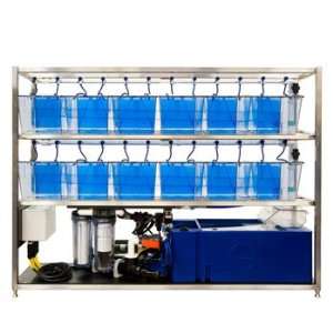 Benchtop Research Grade Fish System with 3 L Tanks:  