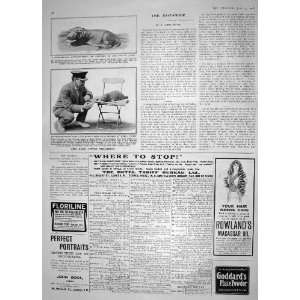 1908 HIPPOPOTAMUS BERLIN ZOO SEA LEOPARD EARLS COURT 