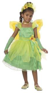 Blossom Fairy Toddler Costume  
