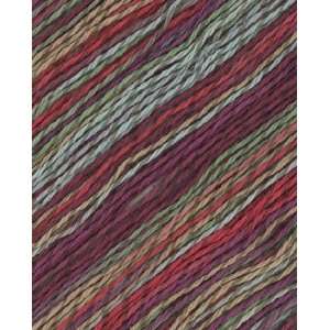  Berroco Linsey Colors Yarn: Arts, Crafts & Sewing