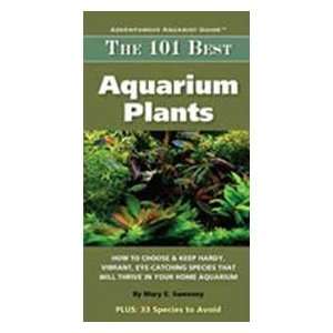  The 101 Best Aquarium Plants