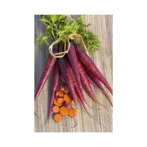  Cosmic Purple Carrot Seeds