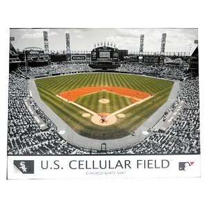   : Chicago White Sox U.S. Cellular Field on Canvas: Sports & Outdoors