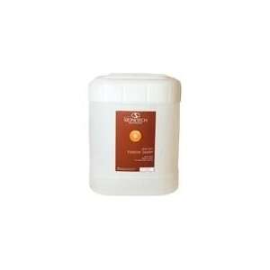  DuPont Stonetech Impregnator Pro Sealer   5 Gallon