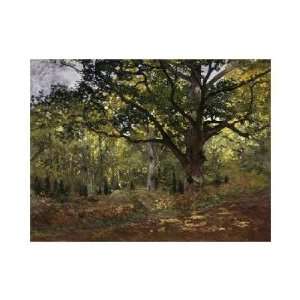  Claude Monet   Bodmer Oak, Fontainebleau Forest, 1865 
