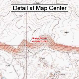  USGS Topographic Quadrangle Map   Bogus Bench, Oregon 