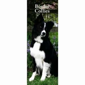   Border Collies 2010 Slimline Wall Calendar: Office Products