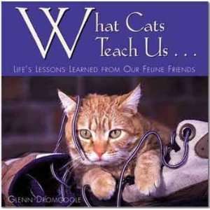  What Cats Teach Us Hardcover Book 