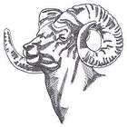 Big Horn Sheep Ram Goat Head Outline Iron on Patch