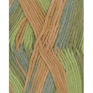  Berroco Comfort Colors Yarn 9830 Antipasto: Arts, Crafts 