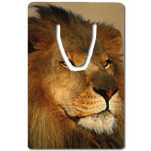  Lion Bookmark Great Unique Gift Idea: Everything Else