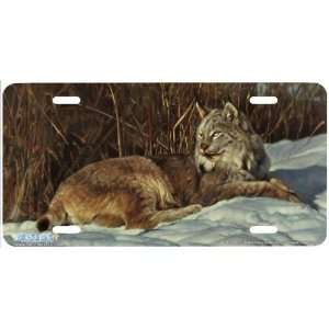 6530 Briar Patch Lynx License Plate Car Auto Novelty Front Tag by 