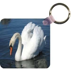  Swan in Water Art Key Chain   Ideal Gift for all 