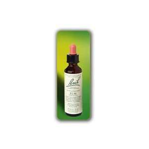  Flower Essence Elm 20 ml