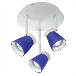   Series Line Voltage Multipoint Canopy Three Light Surface Mo Home
