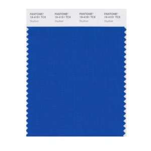  PANTONE SMART 19 4151X Color Swatch Card, Skydiver: Home 
