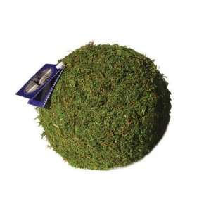  Super Moss 21657 Sheet Moss Ball, Fresh Green, 6 Inch 