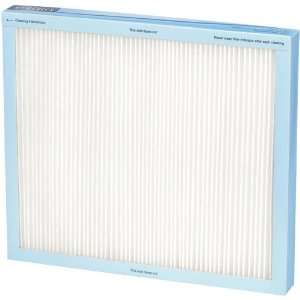   Replacement Hepa Filter, 75 CADR, White: Health & Personal Care