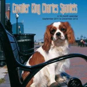  Cavalier King Charles 2012 Wall Calendar: Office Products