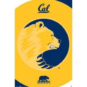  University of California at Berkeley   Poster (22x34 