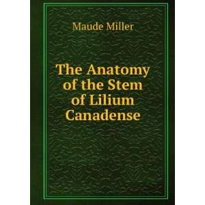  The Anatomy of the Stem of Lilium Canadense Maude Miller Books