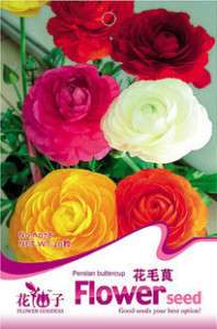 Bag 20 seed Ranunculus asiaticus flower + gift A078  