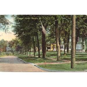   Postcard   Pleasant Avenue   Streator Illinois: Everything Else