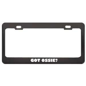 Got Ossie? Girl Name Black Metal License Plate Frame Holder Border Tag