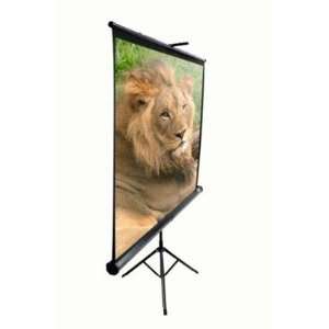   Projection Screen, 4:3 Aspect Ratio 120in (Max White): Electronics