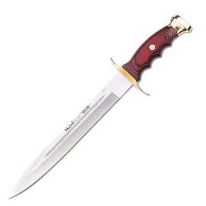   Blade Knife, Coral Packwood and Brass:  Sports & Outdoors
