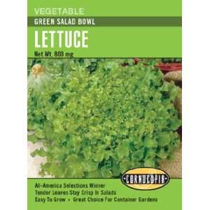  Lettuce Green Salad Bowl Seeds Patio, Lawn & Garden