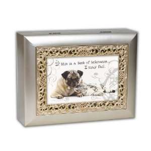  Cottage Garden Dog And Cat Lovers Music Box Plays Amazing 