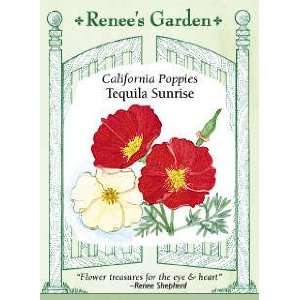  Poppy   California   Tequila Sunrise Seeds: Patio, Lawn 