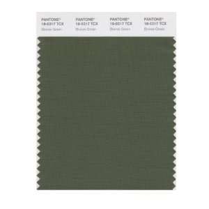  PANTONE SMART 18 0317X Color Swatch Card, Bronze Green 