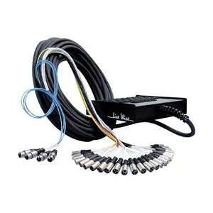  Live Wire 24 Channel/4 Return Stage Snake 100 Foot (100 