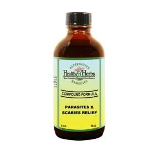   Health & Herbs Remedies Spearmint Leaf with Glycerine, 4 Ounce Bottle