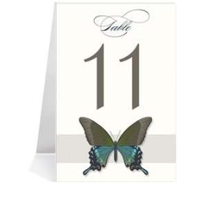  Wedding Table Number Cards   Butterfly Taupe Aqua Horizon 