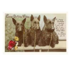   Wishes, Three Scottie Dogs Giclee Poster Print