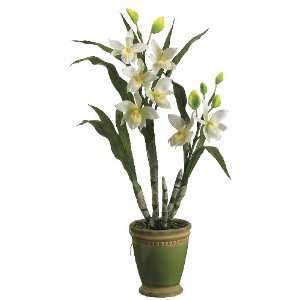 24 Swank Orchid Plant in Ceramic Pot White   LFO629 WH Silk Floral 