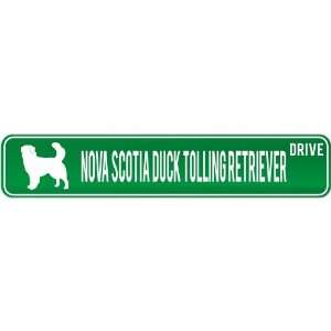  New  Nova Scotia Duck Tolling Retriever Drive  Street 