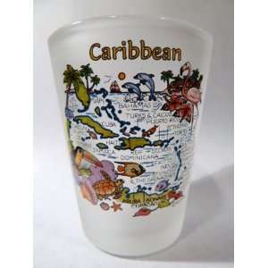  Caribbean Frosted Map Shot Glass: Kitchen & Dining