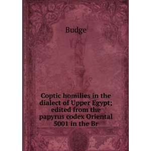  Coptic homilies in the dialect of Upper Egypt; edited from 