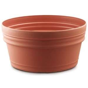  PLANTERS PRIDE 12 Clay Villa Low Bowls Sold in packs of 12 
