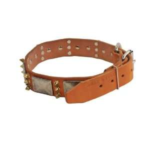  Dean & Tyler Leather Dog Collar Crazy Combo   High 