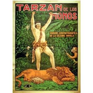 Tarzan of the Apes Movie Poster (11 x 17 Inches   28cm x 44cm) (1917 
