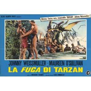 Tarzan Escapes Movie Poster (11 x 14 Inches   28cm x 36cm 