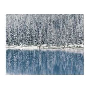   on Moraine Lake, Note Card by Alan Majchrowicz, 7x5