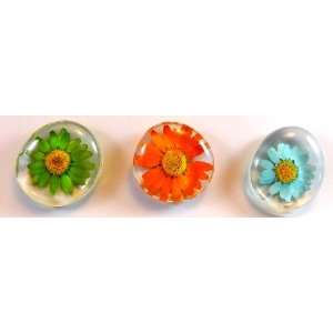  Real Preserved Flowers Refrigerator Magnets   Set of 3   Decorative 