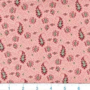  45 Wide Charleston II Paisleys & Florals Pink Fabric By The Yard 